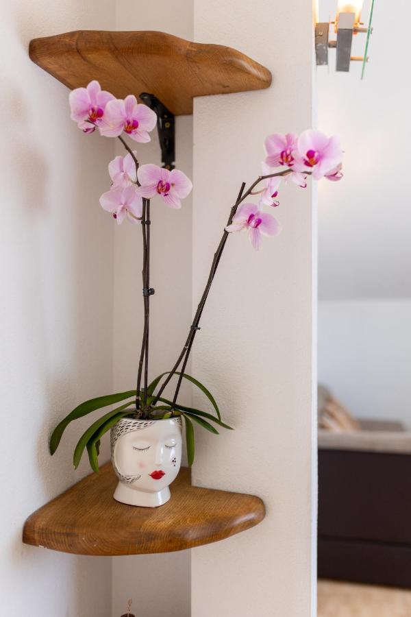 Vranjic Apartamento *